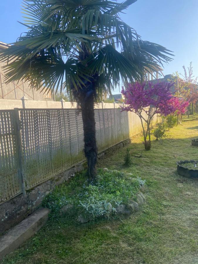 Luka Family Guest House Batumi Ngoại thất bức ảnh